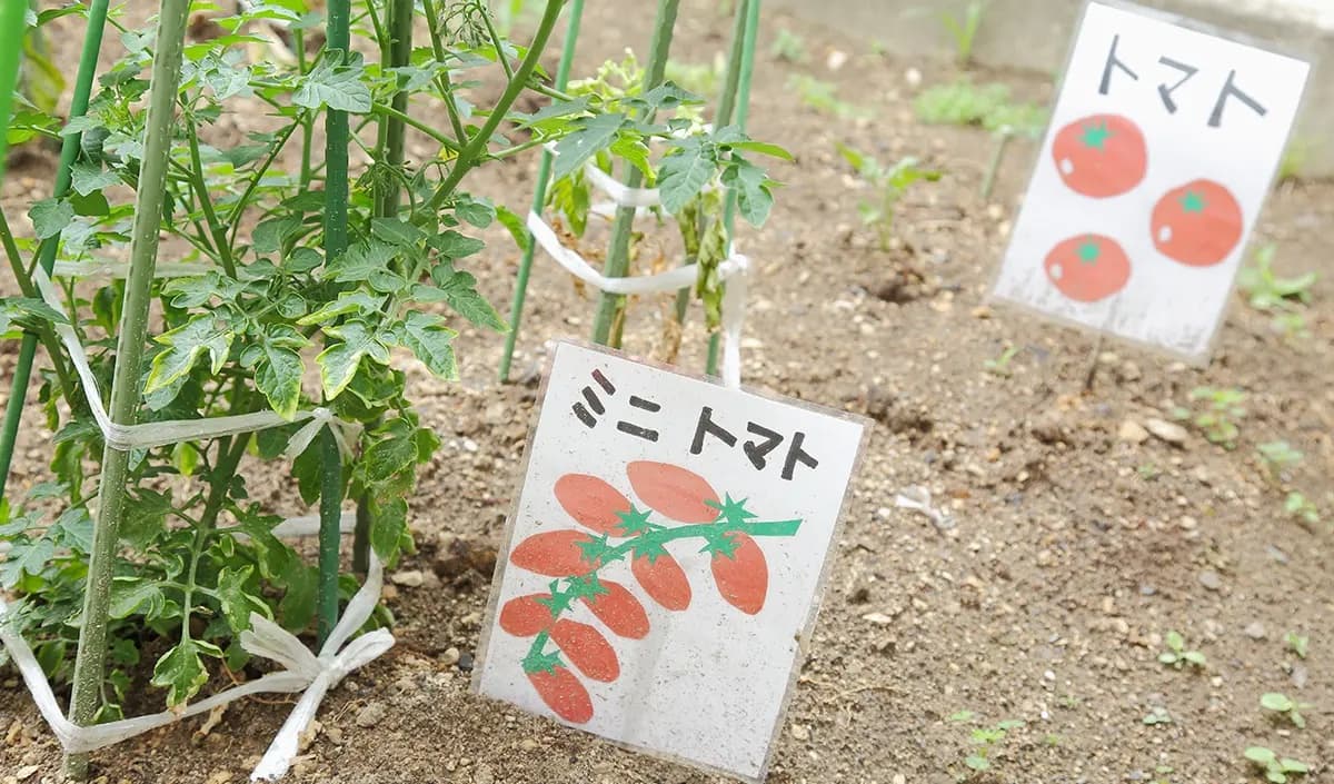 四季を感じる庭